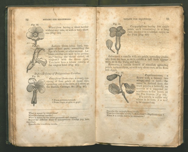 inner page