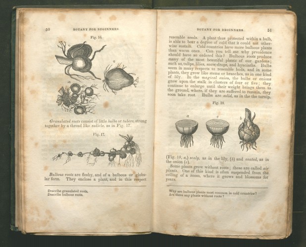 inner page