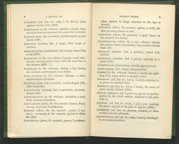interior page