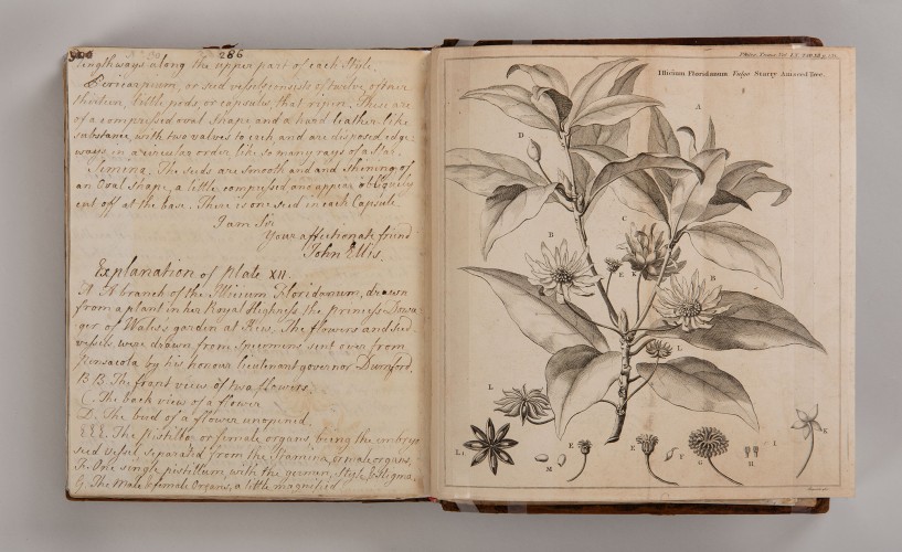 John Ellis letters, 1753-71 