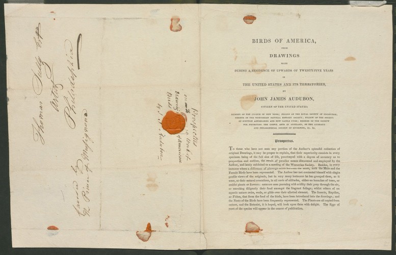 Birds of America….Prospectus 