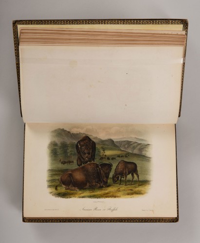 The Quadrupeds of North America, vol. 2 