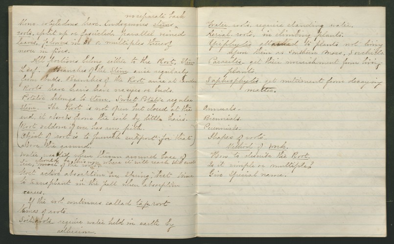 notes