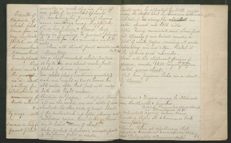 more notes