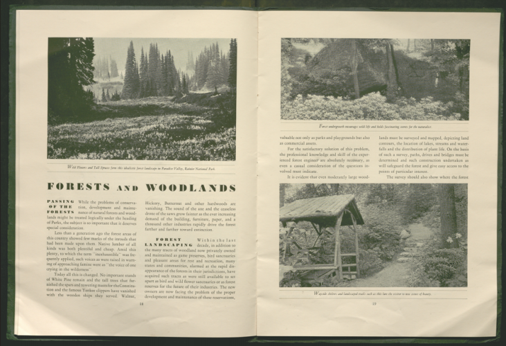 forests and woodlands