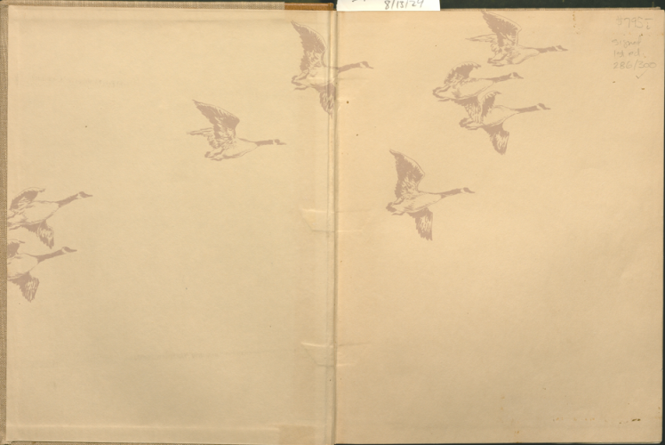 inside cover