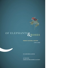 elephants and roses cover