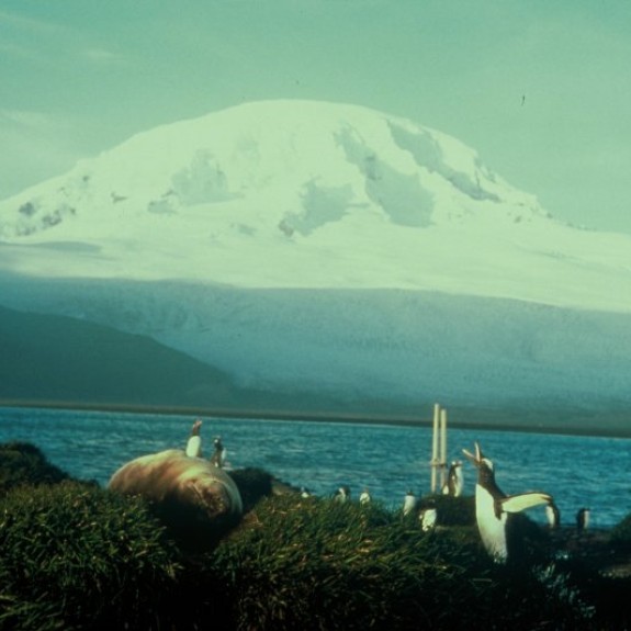 volcano on Heard Island