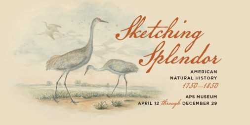 Sketching Splendor: American Natural History, 1750-1850
